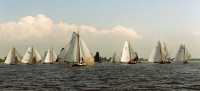 Ahoy 1995